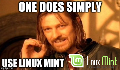Linux Mint FTW | ONE DOES SIMPLY USE LINUX MINT | image tagged in memes,one does not simply | made w/ Imgflip meme maker
