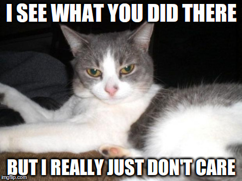Impatient Kitty | I SEE WHAT YOU DID THERE BUT I REALLY JUST DON'T CARE | image tagged in impatient kitty | made w/ Imgflip meme maker