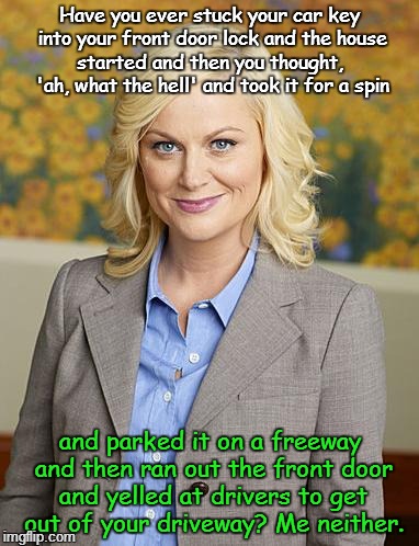 Have you ever... | Have you ever stuck your car key into your front door lock and the house started and then you thought,  'ah, what the hell' and took it for  | image tagged in leslie knope | made w/ Imgflip meme maker
