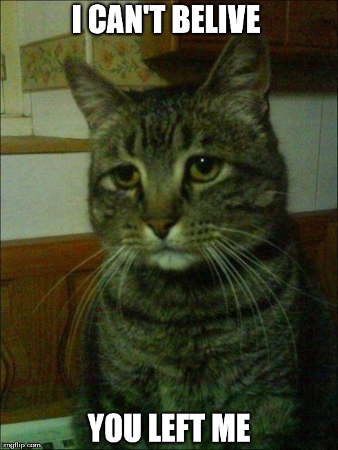 Depressed Cat | I CAN'T BELIVE YOU LEFT ME | image tagged in memes,depressed cat | made w/ Imgflip meme maker