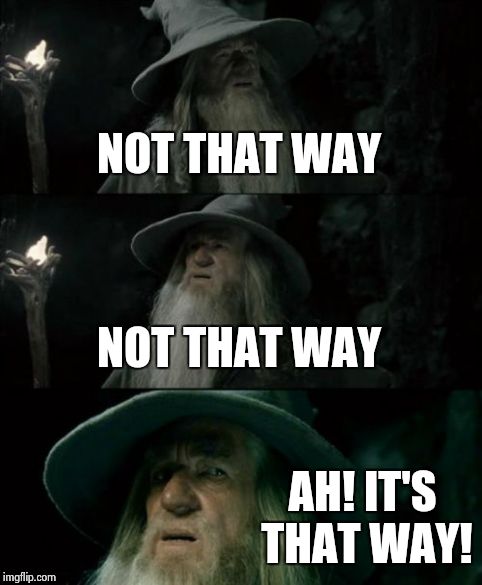 Confused Gandalf | NOT THAT WAY NOT THAT WAY AH! IT'S THAT WAY! | image tagged in memes,confused gandalf | made w/ Imgflip meme maker