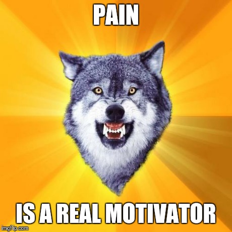 Courage Wolf | PAIN IS A REAL MOTIVATOR | image tagged in memes,courage wolf | made w/ Imgflip meme maker