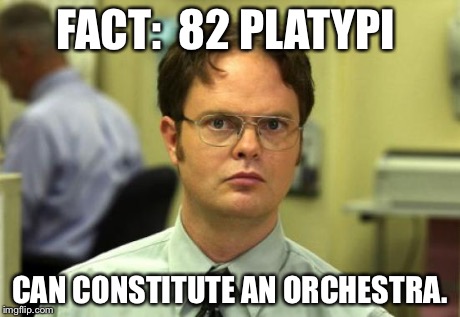 Dwight Schrute | FACT:  82 PLATYPI CAN CONSTITUTE AN ORCHESTRA. | image tagged in memes,dwight schrute | made w/ Imgflip meme maker