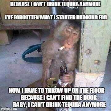 Drunken Ass monkey | BECAUSE I CAN'T DRINK TEQUILA ANYMORE                                I'VE FORGOTTEN WHAT I STARTED DRINKING FOR NOW I HAVE TO THROW UP ON T | image tagged in drunken ass monkey | made w/ Imgflip meme maker