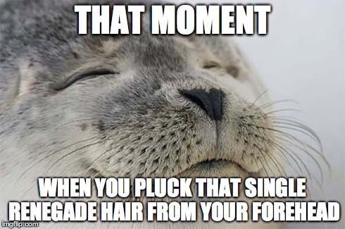 Satisfied Seal Meme | THAT MOMENT WHEN YOU PLUCK THAT SINGLE RENEGADE HAIR FROM YOUR FOREHEAD | image tagged in memes,satisfied seal,AdviceAnimals | made w/ Imgflip meme maker