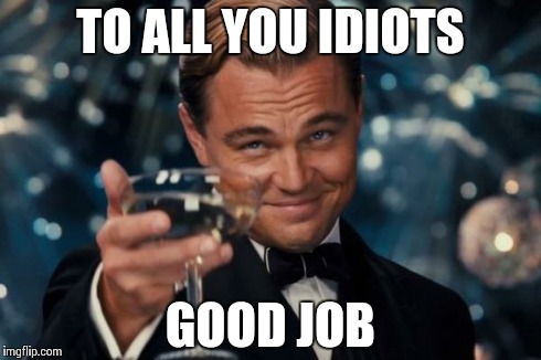 Leonardo Dicaprio Cheers Meme | TO ALL YOU IDIOTS GOOD JOB | image tagged in memes,leonardo dicaprio cheers | made w/ Imgflip meme maker