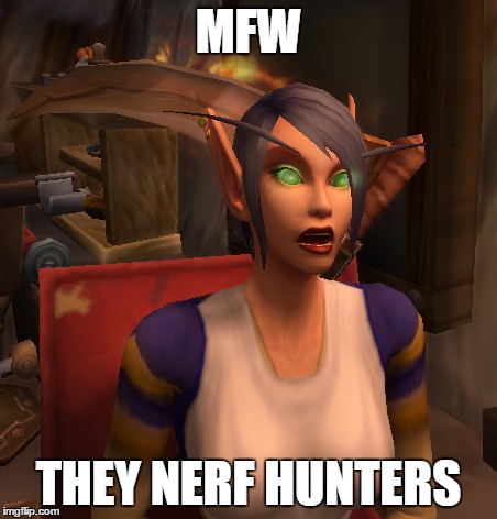MFW THEY NERF HUNTERS | made w/ Imgflip meme maker