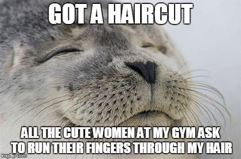 Satisfied Seal | GOT A HAIRCUT ALL THE CUTE WOMEN AT MY GYM ASK TO RUN THEIR FINGERS THROUGH MY HAIR | image tagged in memes,satisfied seal | made w/ Imgflip meme maker