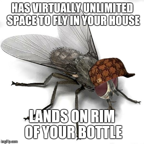 Scumbag House Fly | HAS VIRTUALLY UNLIMITED SPACE TO FLY IN YOUR HOUSE LANDS ON RIM OF YOUR BOTTLE | image tagged in scumbag house fly,scumbag | made w/ Imgflip meme maker