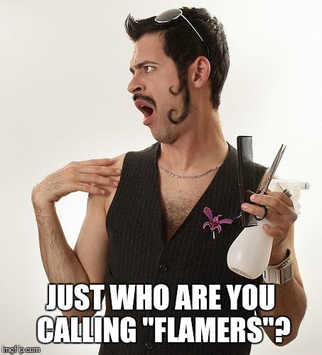 JUST WHO ARE YOU CALLING "FLAMERS"? | image tagged in 'scuse you | made w/ Imgflip meme maker