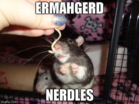NERDLES | ERMAHGERD NERDLES | image tagged in rat,ermahgerd,food | made w/ Imgflip meme maker