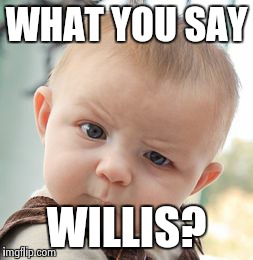 Skeptical Baby Meme | WHAT YOU SAY WILLIS? | image tagged in memes,skeptical baby | made w/ Imgflip meme maker