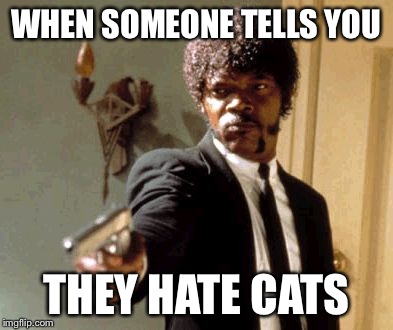 Say That Again I Dare You Meme | WHEN SOMEONE TELLS YOU THEY HATE CATS | image tagged in memes,say that again i dare you | made w/ Imgflip meme maker