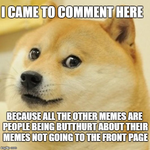 Doge Meme | I CAME TO COMMENT HERE BECAUSE ALL THE OTHER MEMES ARE PEOPLE BEING BUTTHURT ABOUT THEIR MEMES NOT GOING TO THE FRONT PAGE | image tagged in memes,doge | made w/ Imgflip meme maker