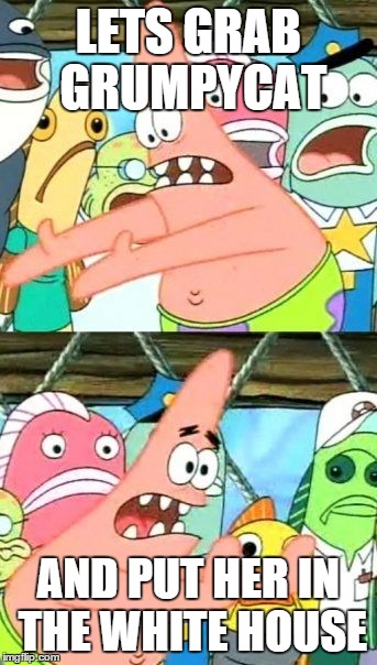 Put It Somewhere Else Patrick | LETS GRAB GRUMPYCAT AND PUT HER IN THE WHITE HOUSE | image tagged in memes,put it somewhere else patrick | made w/ Imgflip meme maker