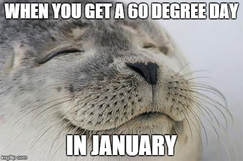 Satisfied Seal | WHEN YOU GET A 60 DEGREE DAY IN JANUARY | image tagged in memes,satisfied seal | made w/ Imgflip meme maker