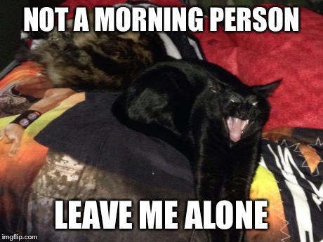 NOT A MORNING PERSON LEAVE ME ALONE | image tagged in demon cat | made w/ Imgflip meme maker