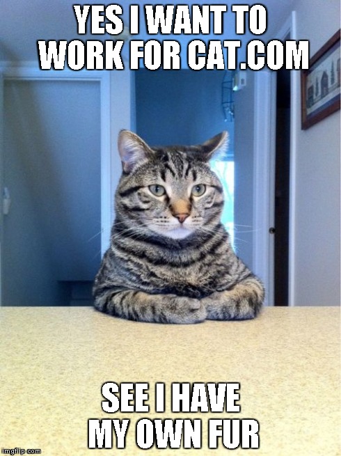 Take A Seat Cat | YES I WANT TO WORK FOR CAT.COM SEE I HAVE MY OWN FUR | image tagged in memes,take a seat cat | made w/ Imgflip meme maker