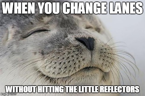 Satisfied Seal Meme | WHEN YOU CHANGE LANES WITHOUT HITTING THE LITTLE REFLECTORS | image tagged in memes,satisfied seal | made w/ Imgflip meme maker