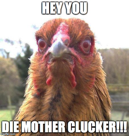 Chicken Brod | HEY YOU DIE MOTHER CLUCKER!!! | image tagged in chicken brod | made w/ Imgflip meme maker