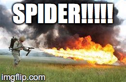 Kill it with fire | SPIDER!!!!! | image tagged in kill it with fire | made w/ Imgflip meme maker