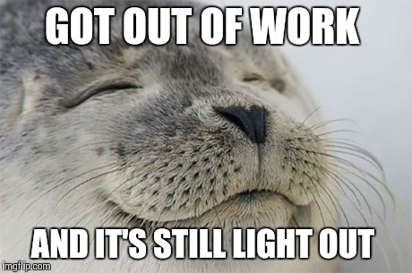 Satisfied Seal | GOT OUT OF WORK AND IT'S STILL LIGHT OUT | image tagged in memes,satisfied seal,AdviceAnimals | made w/ Imgflip meme maker
