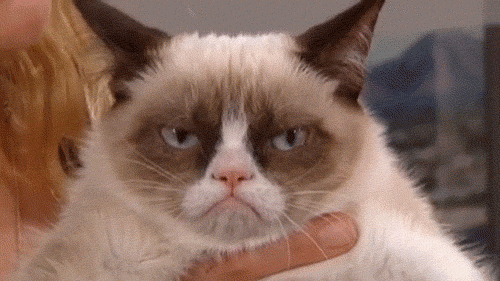 Image tagged in gifs,funny,memes,grumpycat,cats - Imgflip