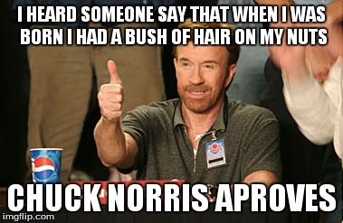 Chuck Norris Approves Meme | I HEARD SOMEONE SAY THAT WHEN I WAS BORN I HAD A BUSH OF HAIR ON MY NUTS CHUCK NORRIS APROVES | image tagged in memes,chuck norris approves | made w/ Imgflip meme maker