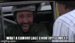WHAT A CAMOUFLAGE COUNTRY! I LOVE IT! | image tagged in gifs | made w/ Imgflip video-to-gif maker
