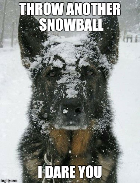 THROW ANOTHER SNOWBALL I DARE YOU | image tagged in snowball | made w/ Imgflip meme maker