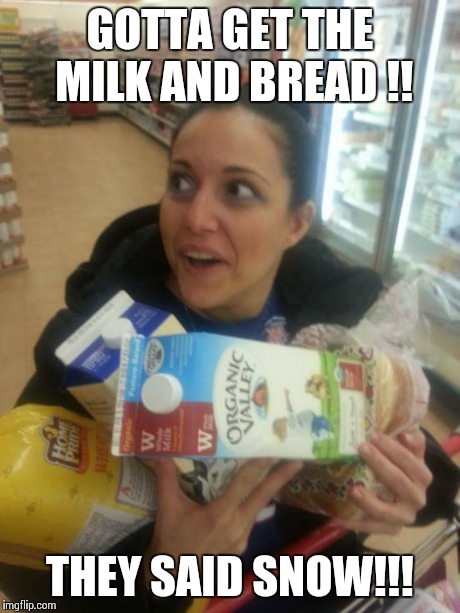New Yorkers be like... | GOTTA GET THE MILK AND BREAD !! THEY SAID SNOW!!! | image tagged in brace yourselves x is coming,aint nobody got time for that,snow day,snow | made w/ Imgflip meme maker