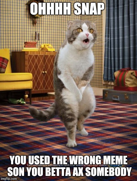 Gotta Go Cat Meme | OHHHH SNAP YOU USED THE WRONG MEME SON YOU BETTA AX SOMEBODY | image tagged in memes,gotta go cat | made w/ Imgflip meme maker