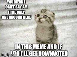 Imgflip is rough | YOU MEAN I CAN'T SAY AM I THE ONLY ONE AROUND HERE IN THIS MEME AND IF I DO I'LL GET DOWNVOTED | image tagged in memes,sad cat | made w/ Imgflip meme maker