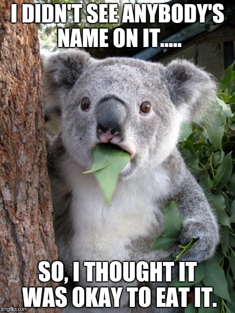 Glutton | I DIDN'T SEE ANYBODY'S NAME ON IT..... SO, I THOUGHT IT WAS OKAY TO EAT IT. | image tagged in memes,surprised koala | made w/ Imgflip meme maker