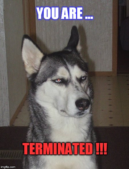 YOU ARE ... TERMINATED !!! | made w/ Imgflip meme maker