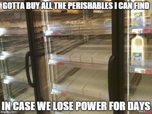 At least it will be cold in the house, I guess. | GOTTA BUY ALL THE PERISHABLES I CAN FIND IN CASE WE LOSE POWER FOR DAYS | image tagged in memes,blizzard,snow | made w/ Imgflip meme maker