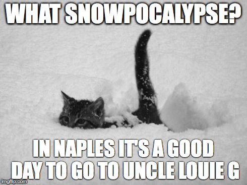 Snow Cat | WHAT SNOWPOCALYPSE? IN NAPLES IT'S A GOOD DAY TO GO TO UNCLE LOUIE G | image tagged in snow cat | made w/ Imgflip meme maker