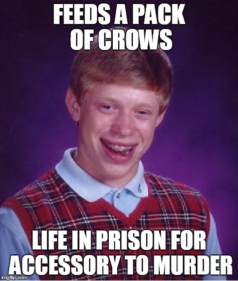 Bad Luck Brian Meme | FEEDS A PACK OF CROWS LIFE IN PRISON FOR ACCESSORY TO MURDER | image tagged in memes,bad luck brian | made w/ Imgflip meme maker