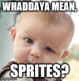 Skeptical Baby Meme | WHADDAYA MEAN, SPRITES? | image tagged in memes,skeptical baby | made w/ Imgflip meme maker