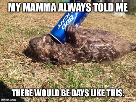 Leave it to beaver | MY MAMMA ALWAYS TOLD ME THERE WOULD BE DAYS LIKE THIS. | image tagged in animals | made w/ Imgflip meme maker