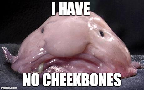 Blobfish | I HAVE NO CHEEKBONES | image tagged in blobfish | made w/ Imgflip meme maker