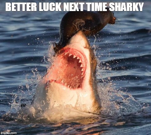 Travelonshark | BETTER LUCK NEXT TIME SHARKY | image tagged in memes,travelonshark | made w/ Imgflip meme maker