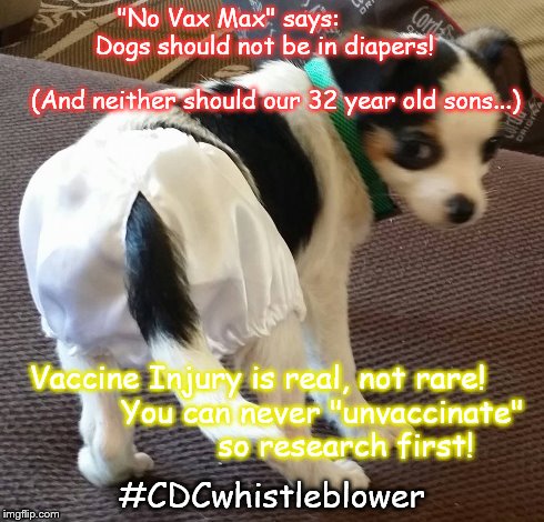 "No Vax Max" says:
              Dogs should not be in diapers!
                                           (And neither should our 32 year o | made w/ Imgflip meme maker
