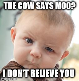 Skeptical Baby | THE COW SAYS MOO? I DON'T BELIEVE YOU | image tagged in memes,skeptical baby | made w/ Imgflip meme maker