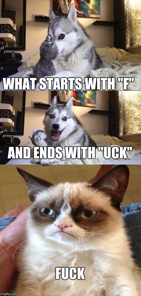 Grumpy Cat Pun | WHAT STARTS WITH "F" AND ENDS WITH "UCK" F**K | image tagged in memes,bad pun dog | made w/ Imgflip meme maker