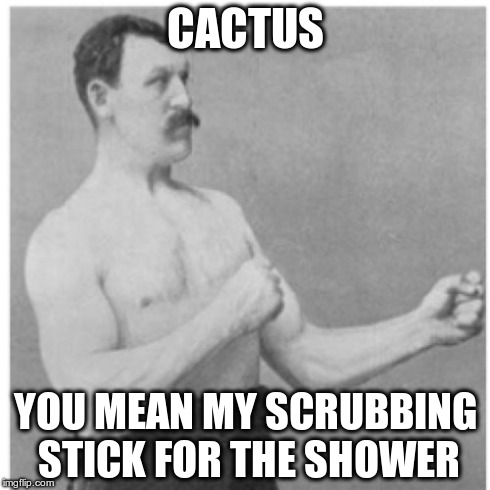 Overly Manly Man Meme | CACTUS YOU MEAN MY SCRUBBING STICK FOR THE SHOWER | image tagged in memes,overly manly man | made w/ Imgflip meme maker