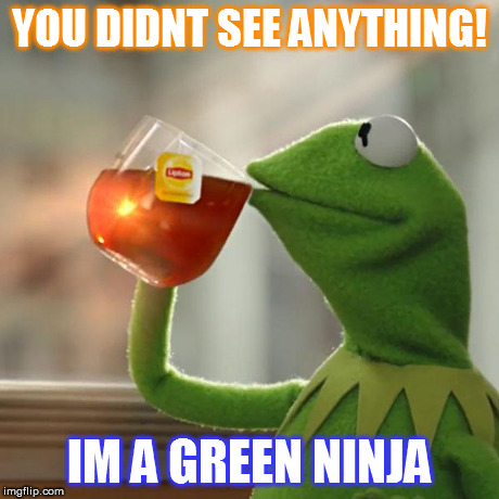 But That's None Of My Business Meme | YOU DIDNT SEE ANYTHING! IM A GREEN NINJA | image tagged in memes,but thats none of my business,kermit the frog | made w/ Imgflip meme maker