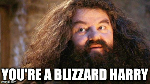 Wizard | YOU'RE A BLIZZARD HARRY | image tagged in wizard | made w/ Imgflip meme maker