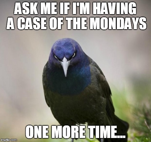 Angry Bird | ASK ME IF I'M HAVING A CASE OF THE MONDAYS ONE MORE TIME... | image tagged in angry bird,AdviceAnimals | made w/ Imgflip meme maker