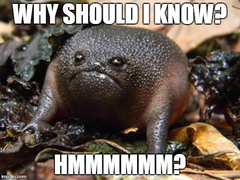 Frowny Frog | WHY SHOULD I KNOW? HMMMMMM? | image tagged in frowny frog | made w/ Imgflip meme maker
